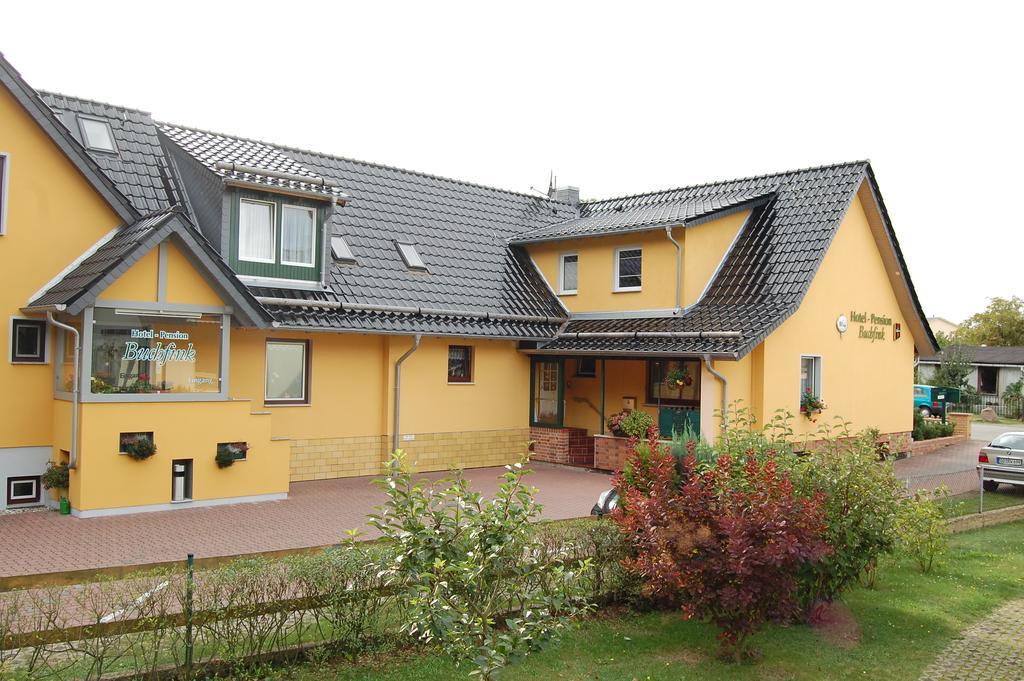 Pension Buchfink Ückeritz Exterior foto